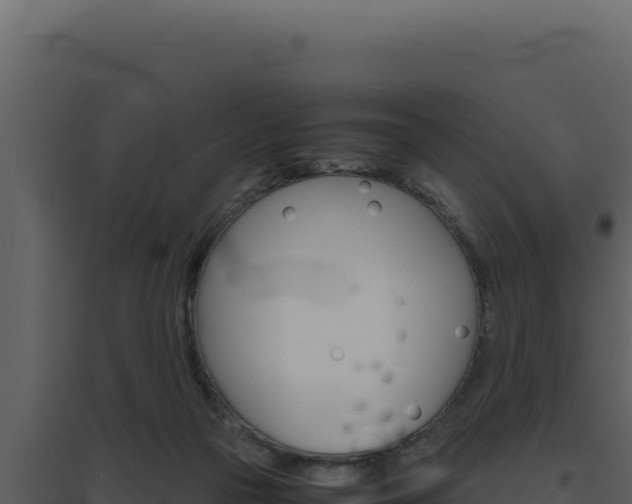 X0000094820169200711161037