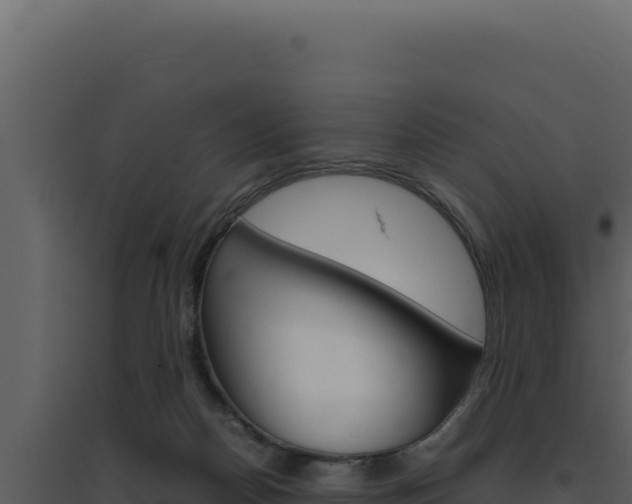 X0000094820170200711161037