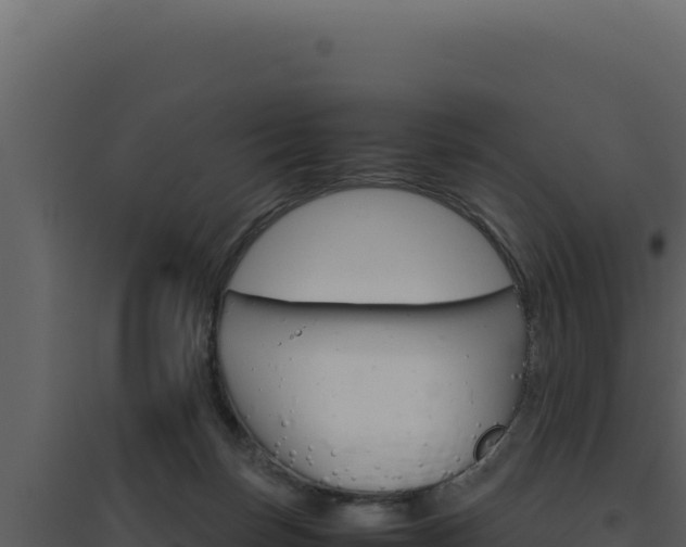 X0000094820171200711161037