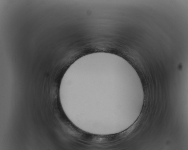 X0000094820174200711161037
