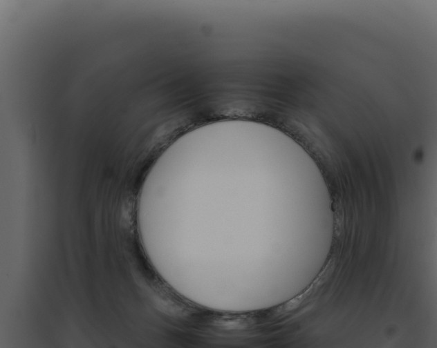X0000094820175200711161037