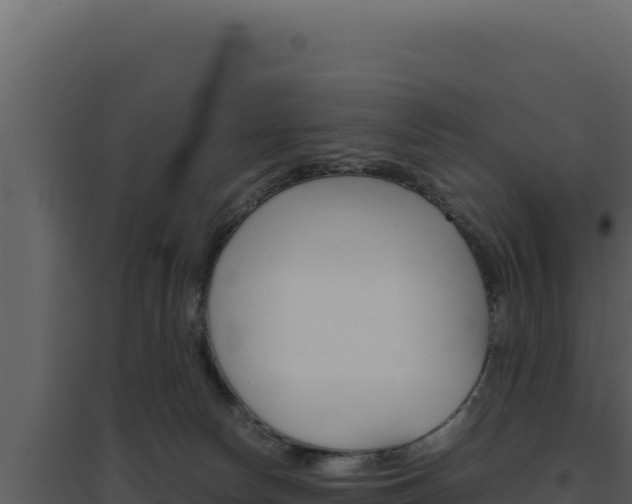 X0000094820178200711161037