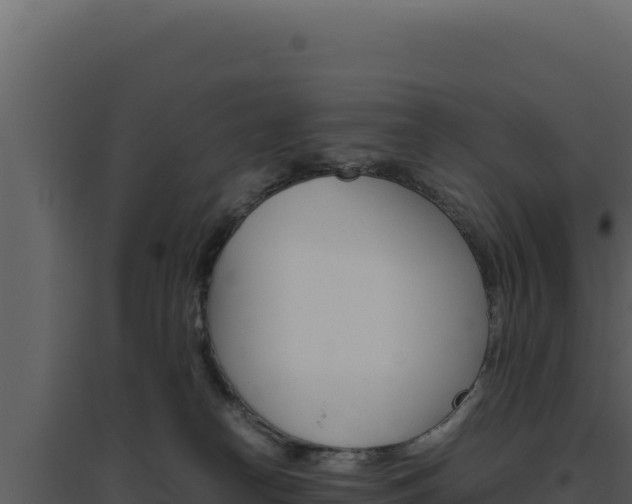 X0000094820182200711161037