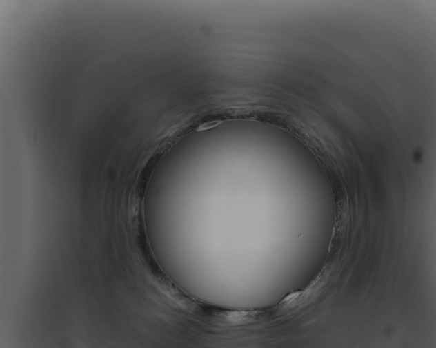 X0000094820184200711161037