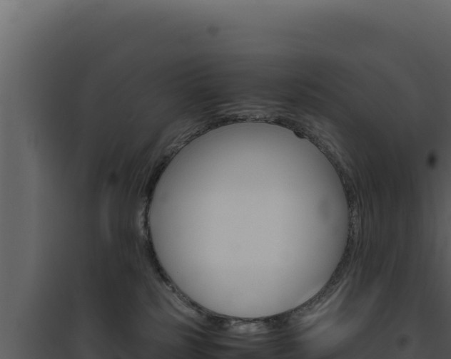 X0000094820185200711161037