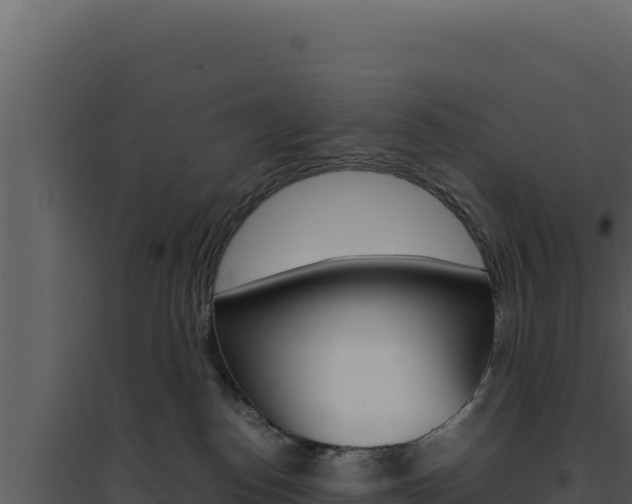 X0000094820186200711161037