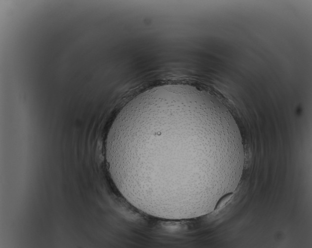 X0000094820187200711161037