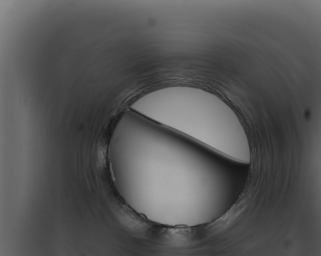X0000094820188200711161037