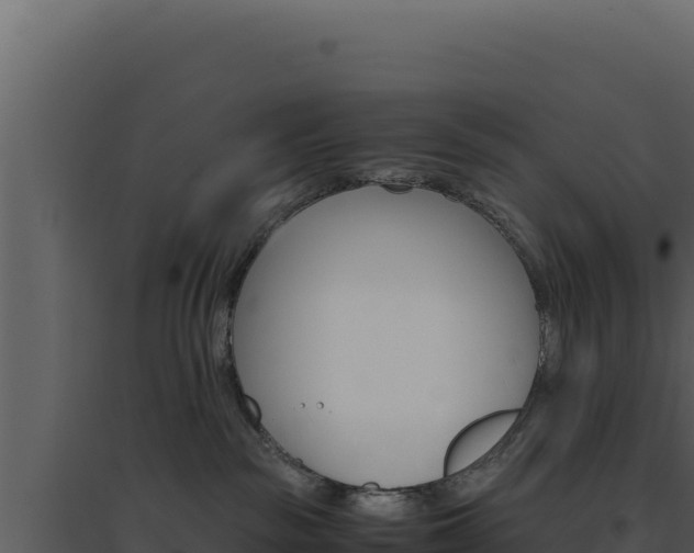 X0000094820189200711161037