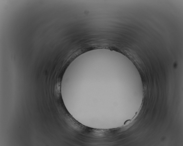 X0000094820190200711161037