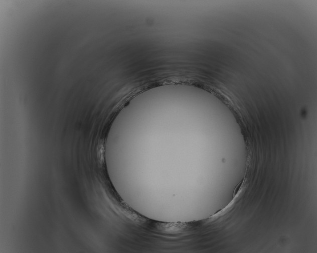 X0000094820191200711161037