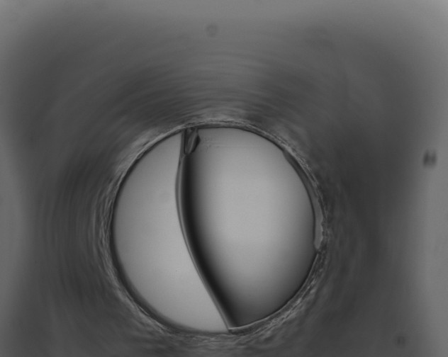 X0000094820193200711161036