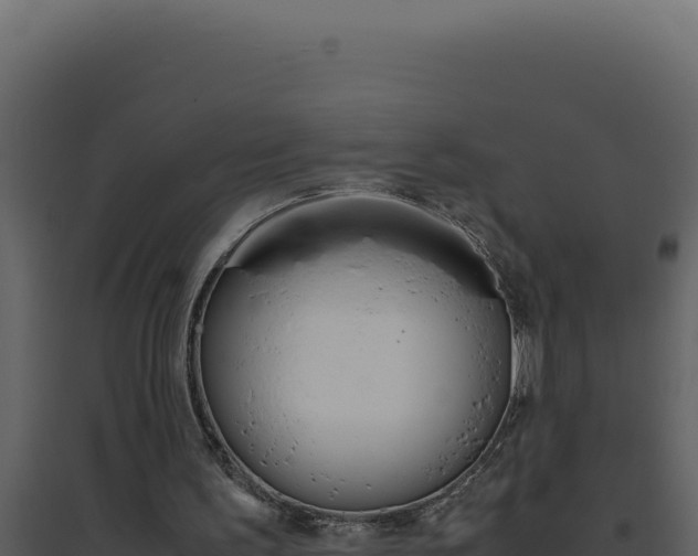X0000094820195200711161036