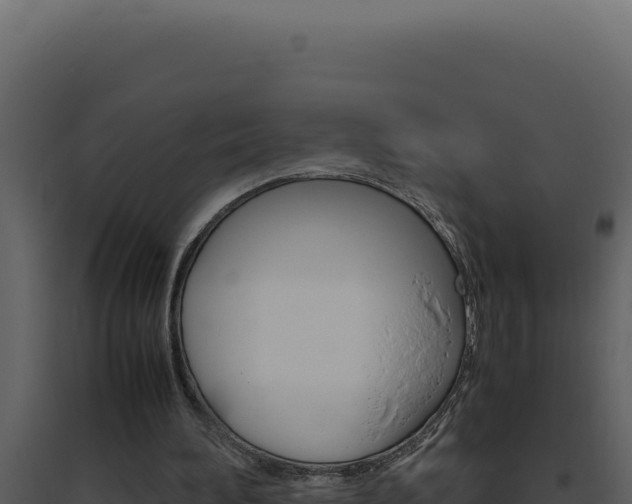 X0000094820196200711161036