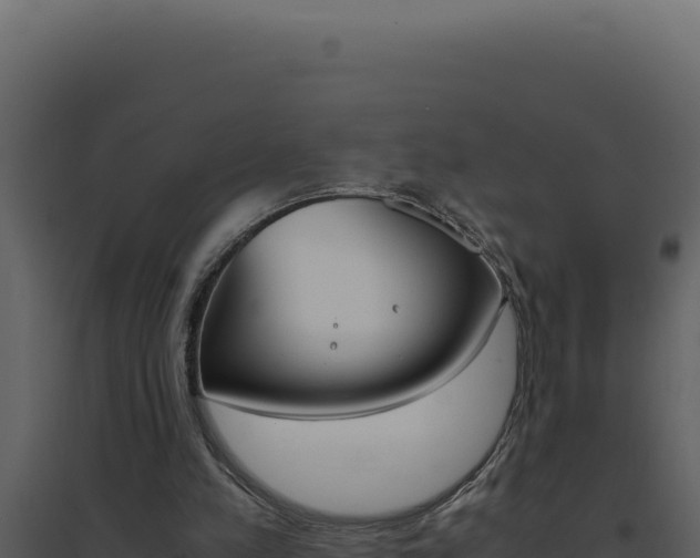 X0000094820197200711161036