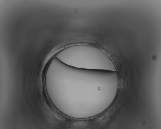 X0000094820198200711161036