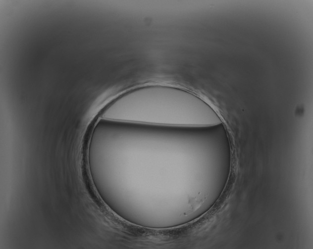 X0000094820199200711161036