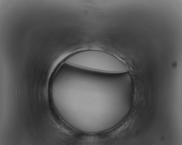 X0000094820200200711161036