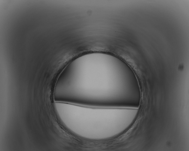 X0000094820201200711161036