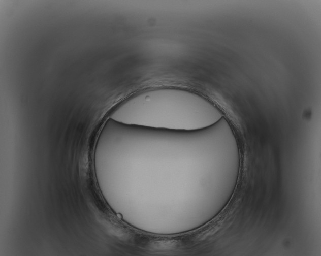 X0000094820202200711161036