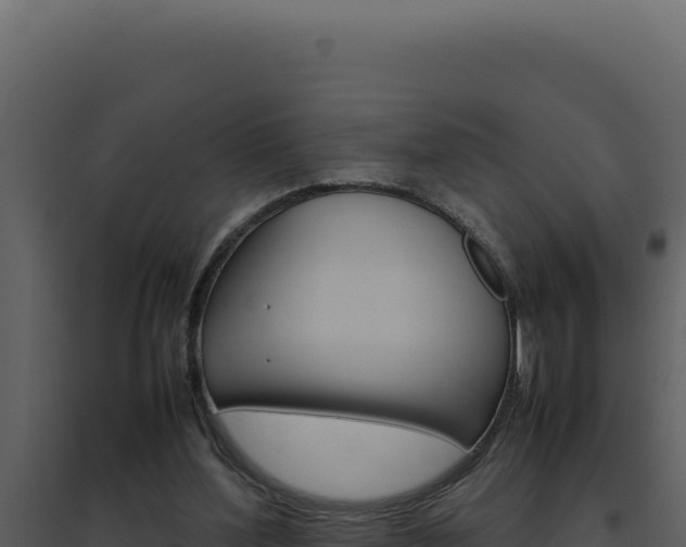 X0000094820204200711161036