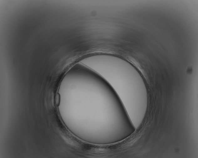X0000094820205200711161036