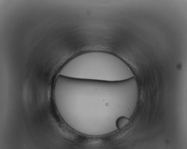 X0000094820206200711161036