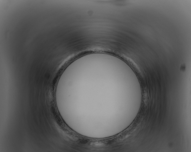 X0000094820208200711161036