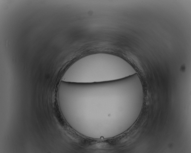 X0000094820210200711161036