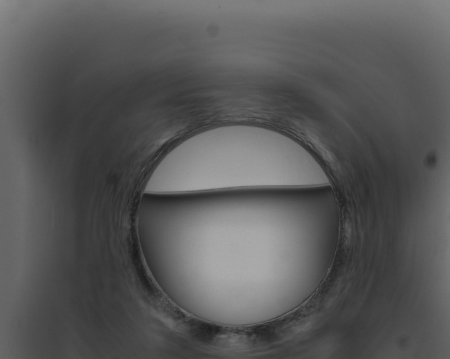 X0000094820211200711161036
