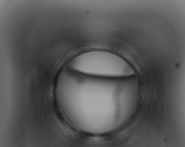 X0000094820212200711161036