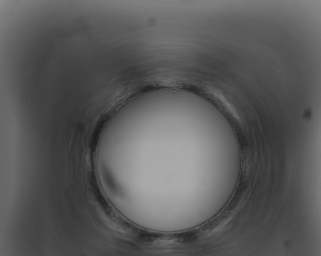 X0000094820213200711161036