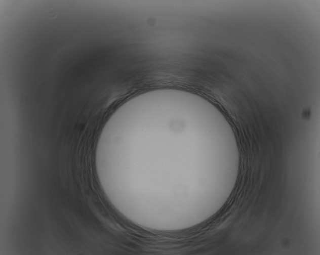 X0000094820215200711161036