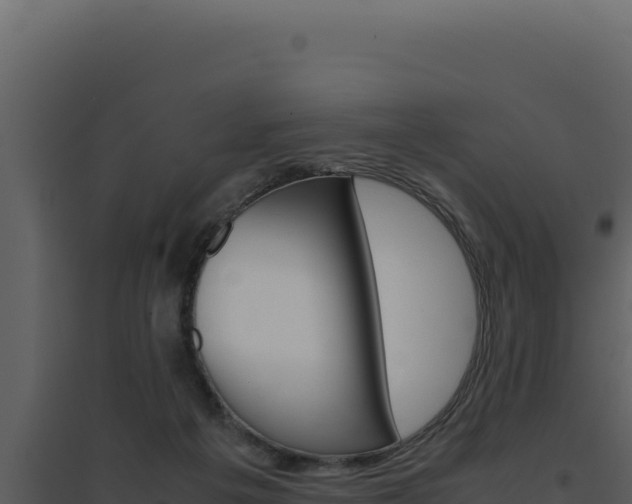 X0000094820217200711161036