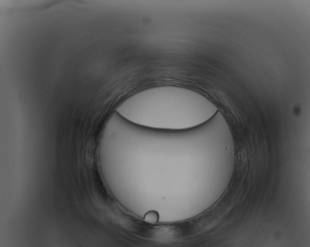 X0000094820218200711161036