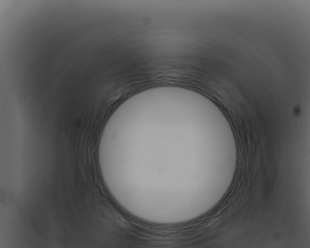 X0000094820219200711161036