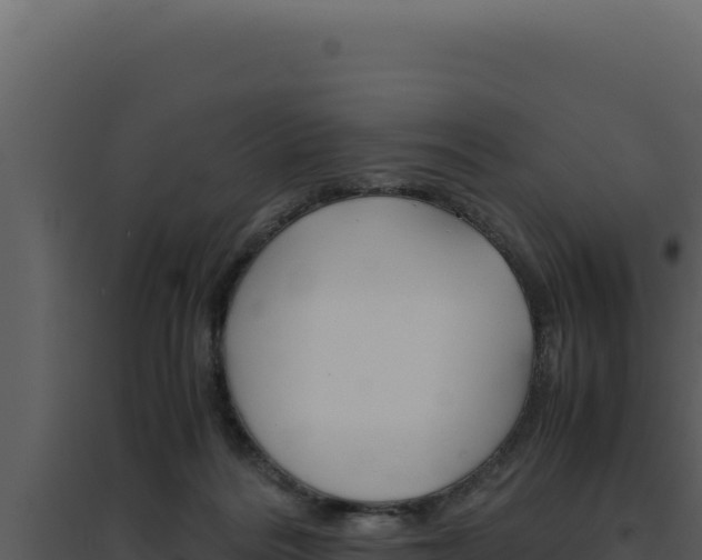 X0000094820220200711161036
