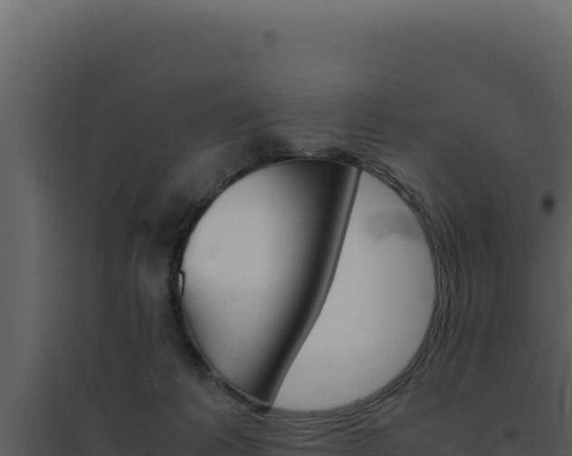 X0000094820221200711161036