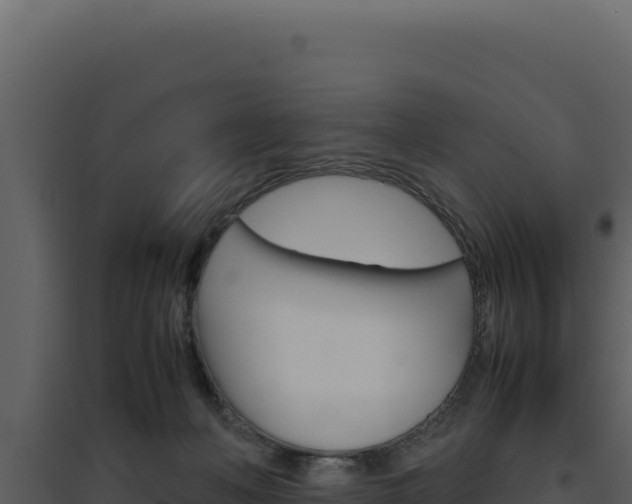 X0000094820222200711161036
