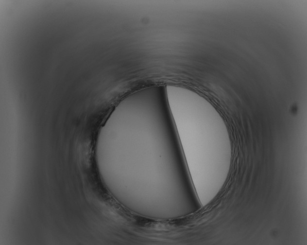 X0000094820223200711161036