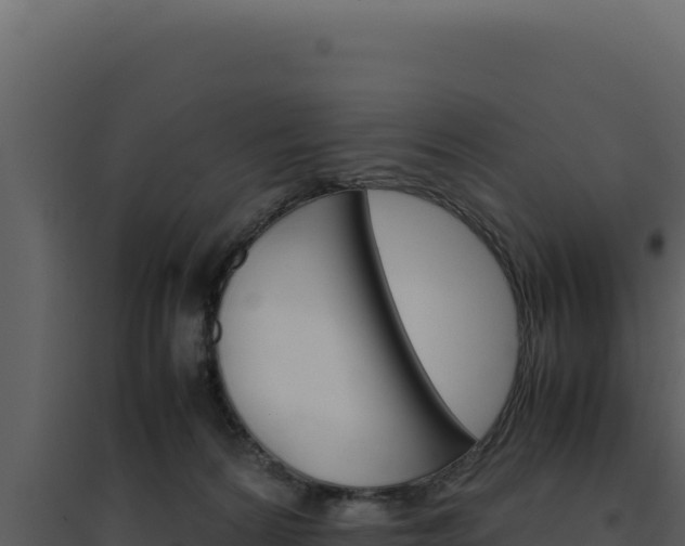X0000094820224200711161036