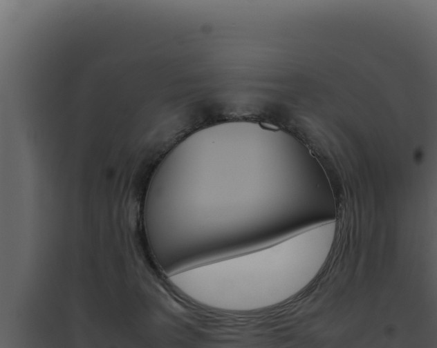 X0000094820227200711161036