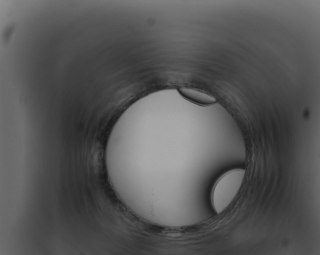 X0000094820228200711161036