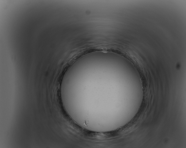 X0000094820229200711161036