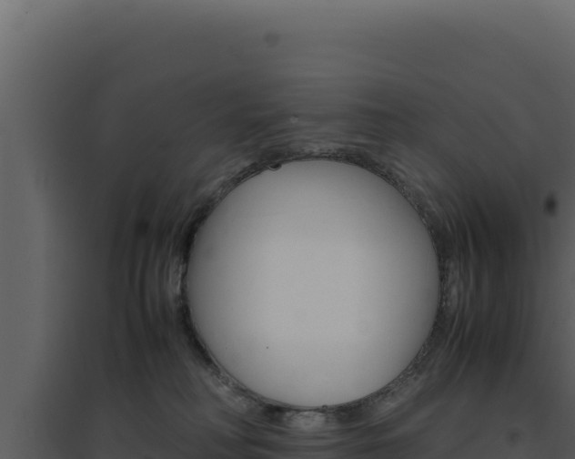 X0000094820230200711161036
