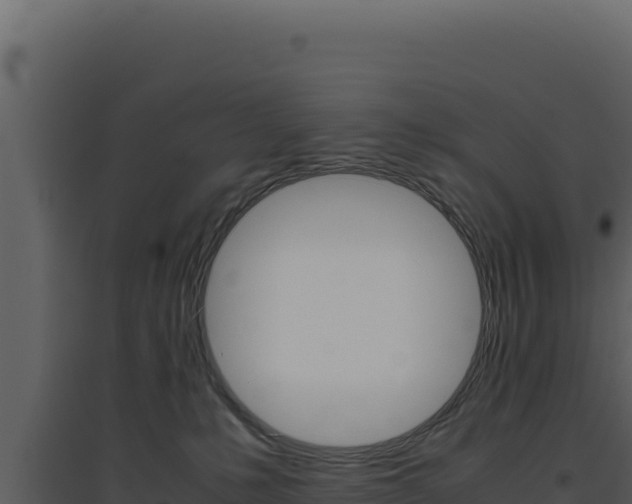 X0000094820231200711161036