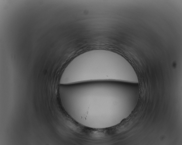 X0000094820232200711161036