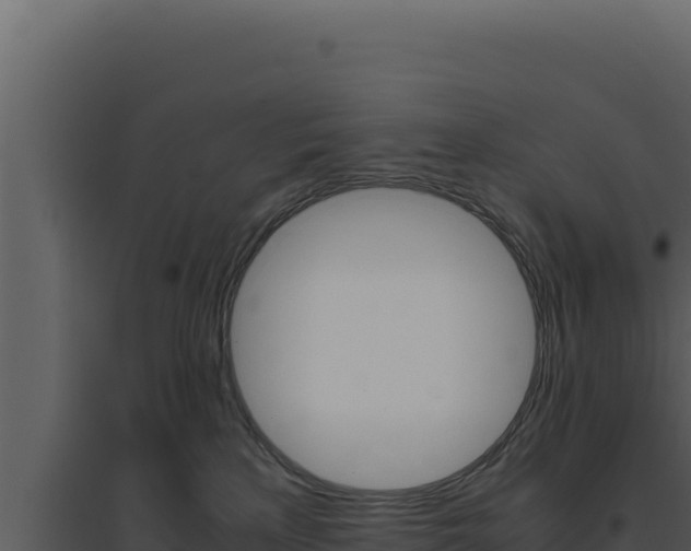 X0000094820233200711161036