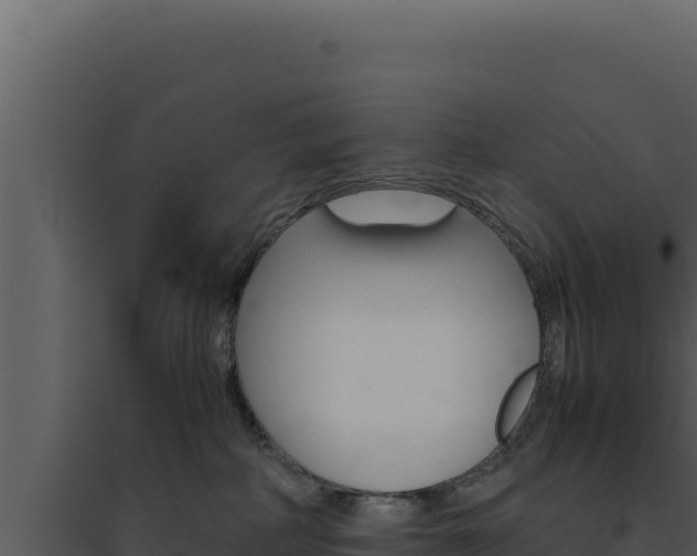 X0000094820234200711161036
