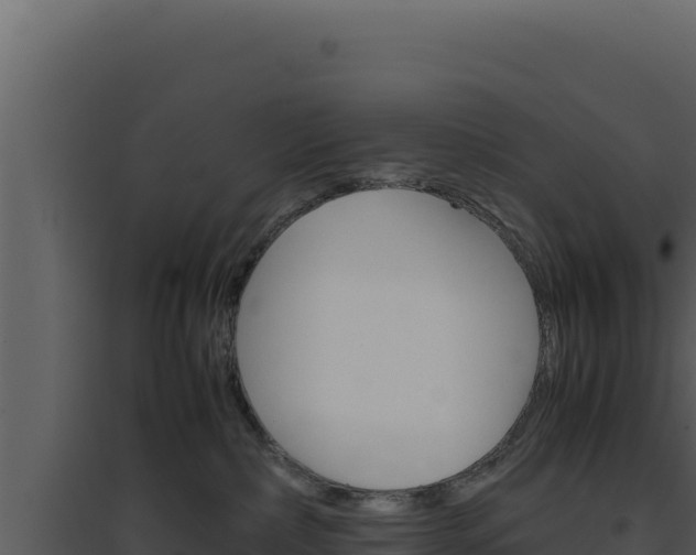 X0000094820236200711161036